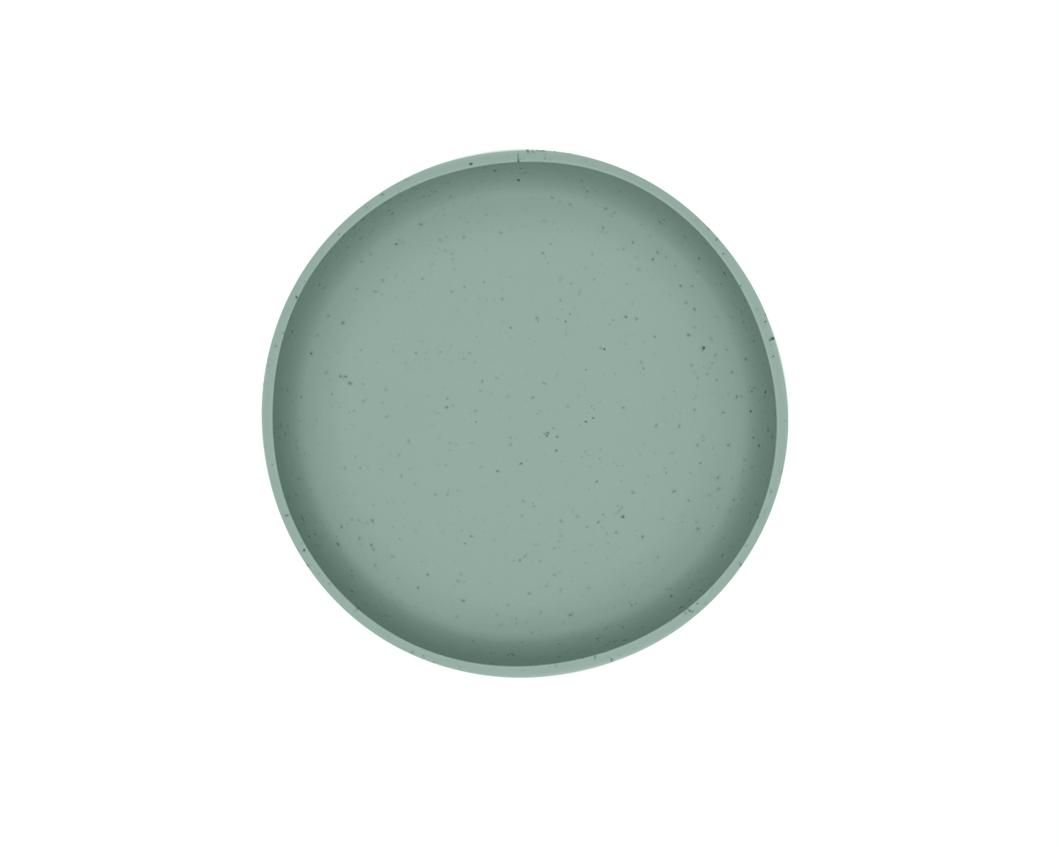 Plate Platinum Silicone Sage